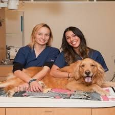 VCA Bakersfield Animal Hospital